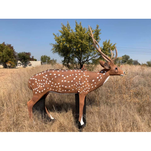 Chital deer deals